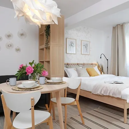 Apartment New & Cozy In Ghencea + Netflix *