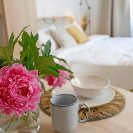 Apartment New & Cozy In Ghencea + Netflix Bukarest