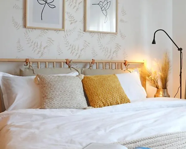 New & Cozy In Ghencea + Netflix