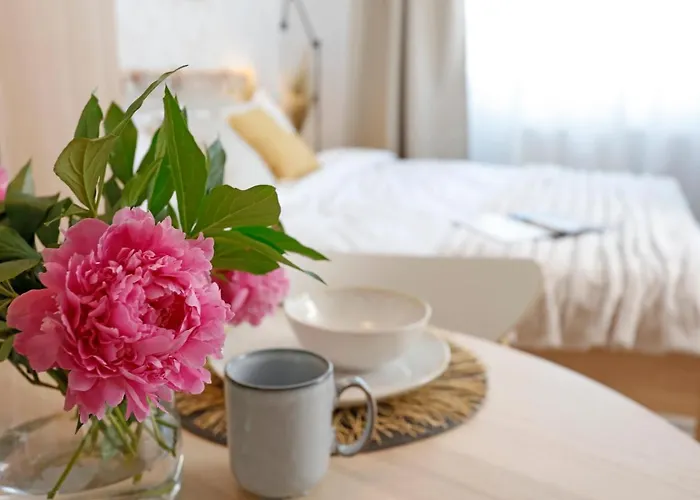 New & Cozy In Ghencea + Netflix Bukarest